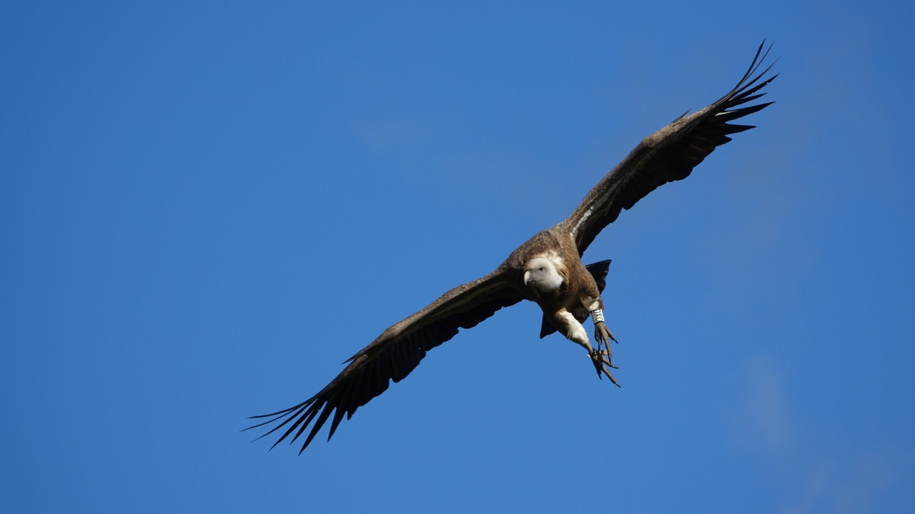 Photo of Outdoor in Remuzat