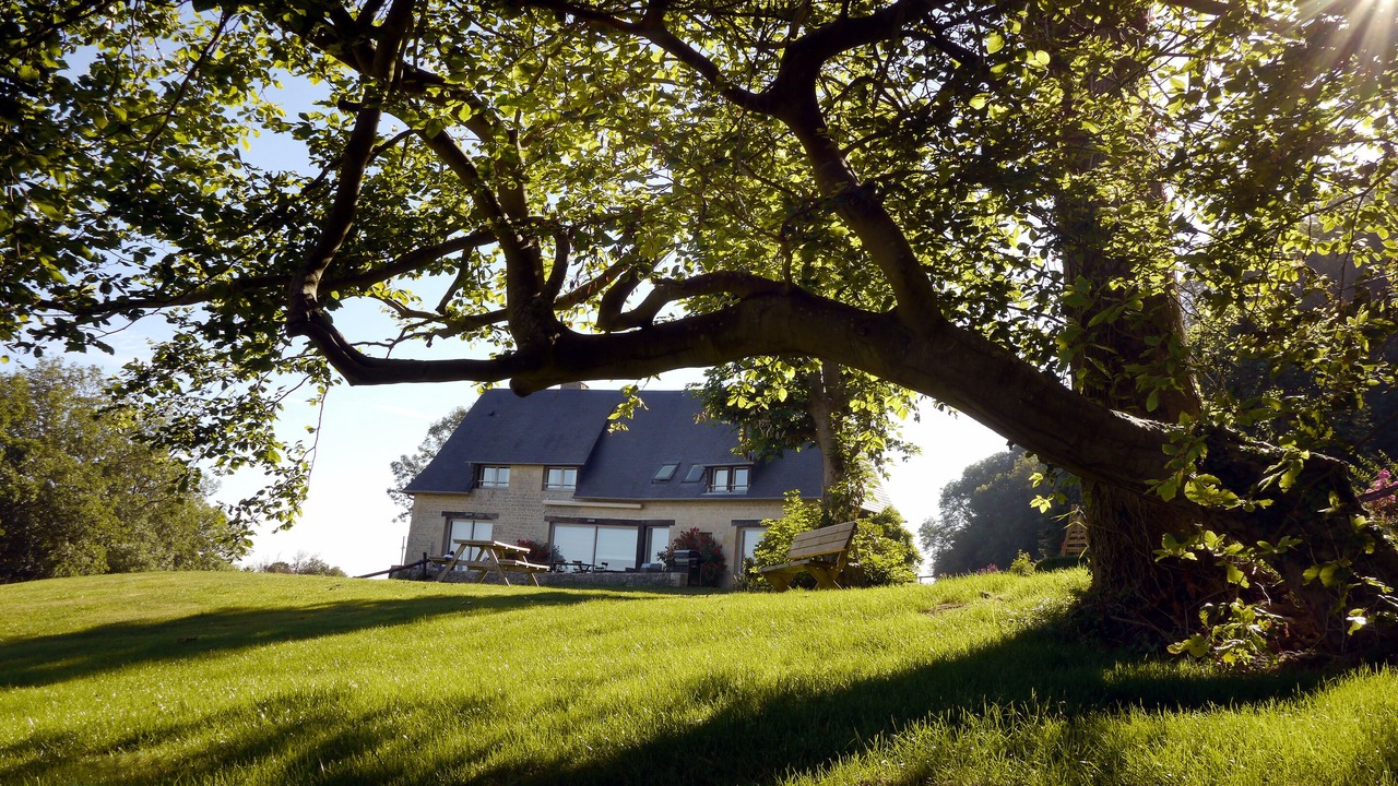 Photo of Outdoor in Honfleur
