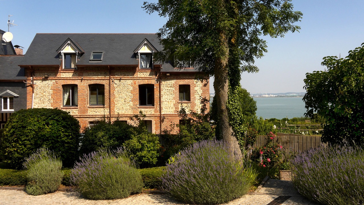 Photo of Buildings in Honfleur