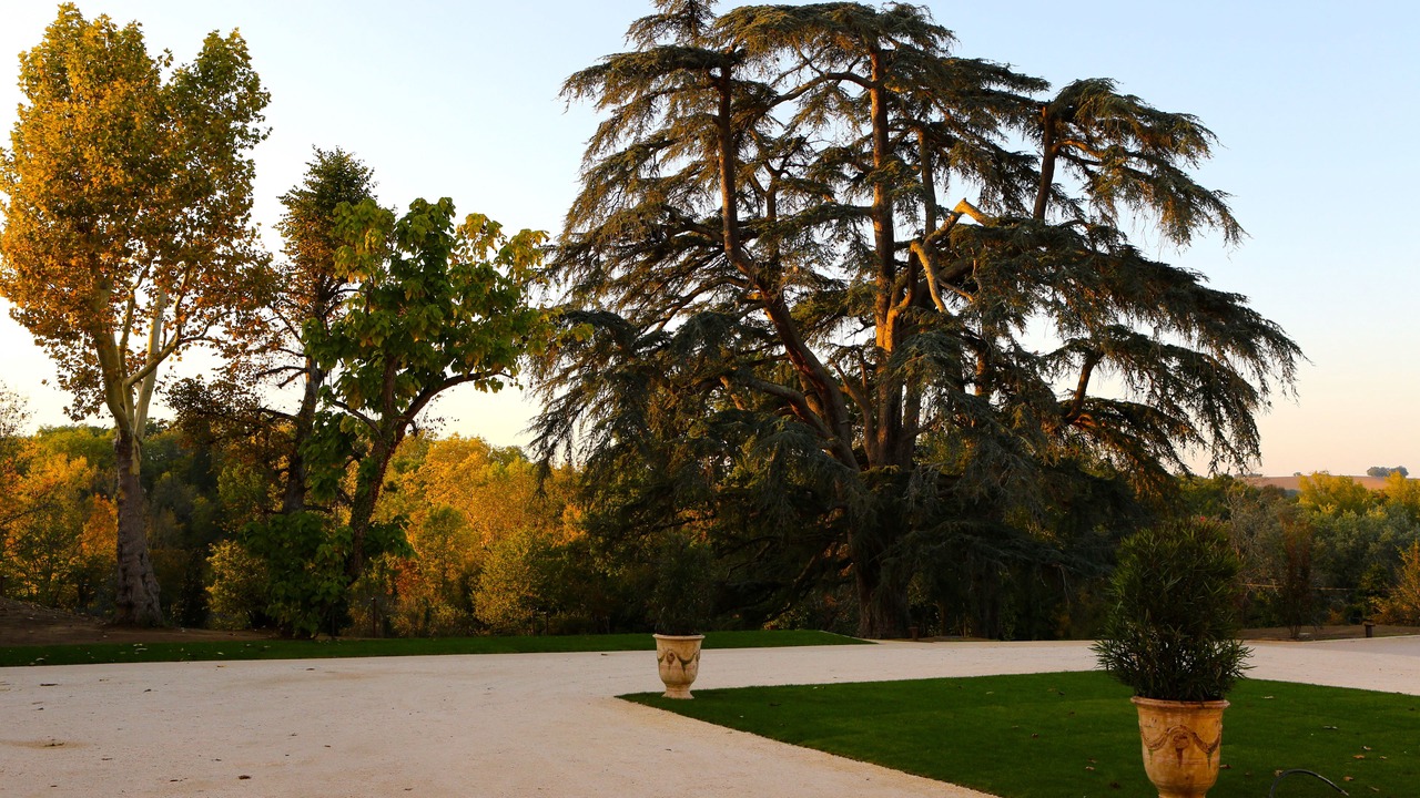 Photo of Outdoor in Drudas