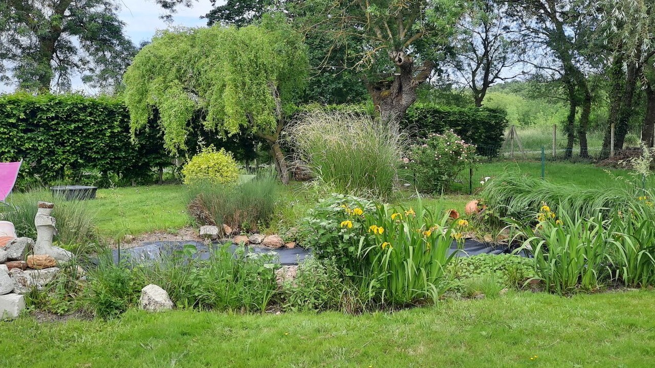 Photo of Outdoor in Savigny-en-Veron
