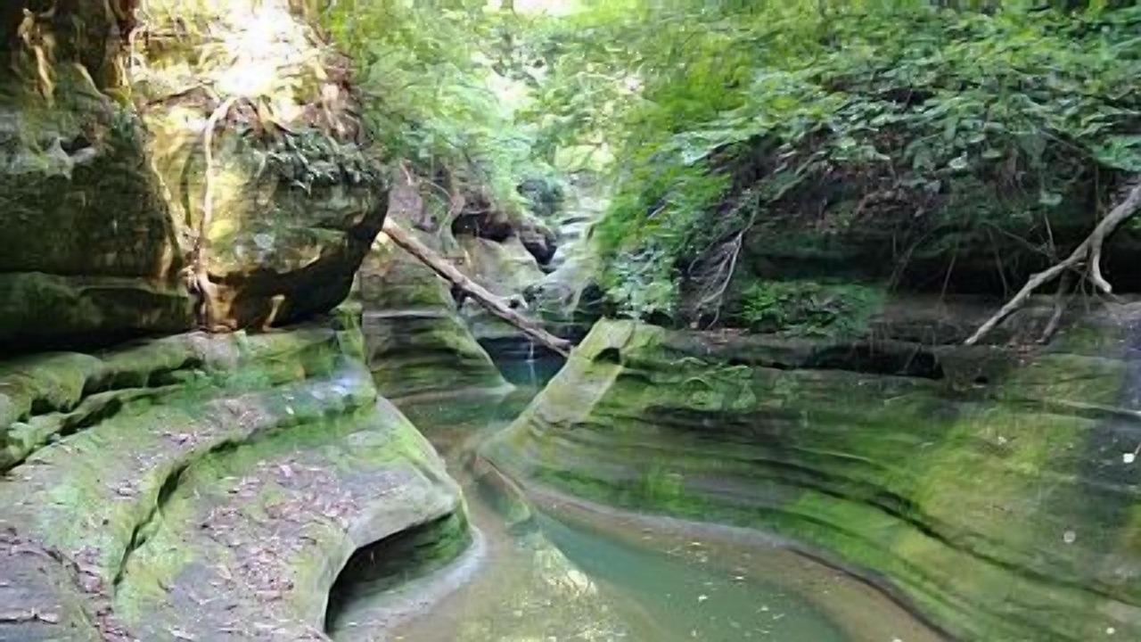 Photo of Outdoor in Oglesby