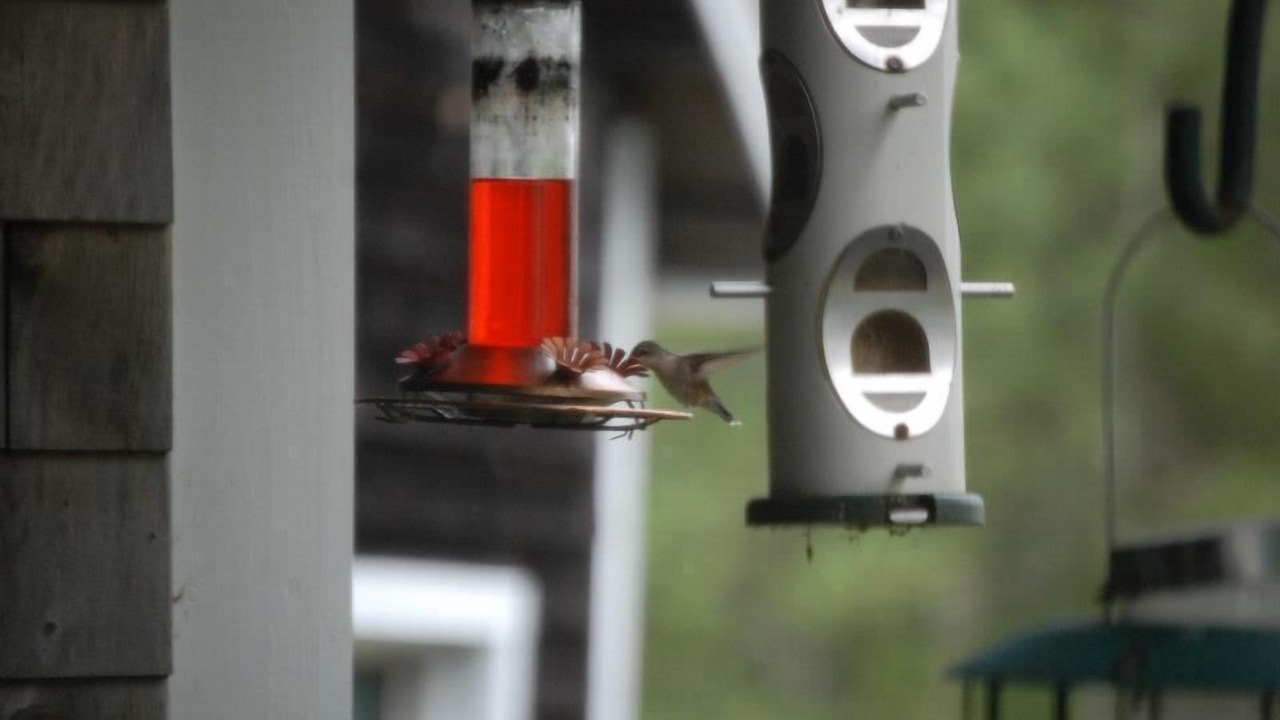 Photo of Bedroom in Jefferson