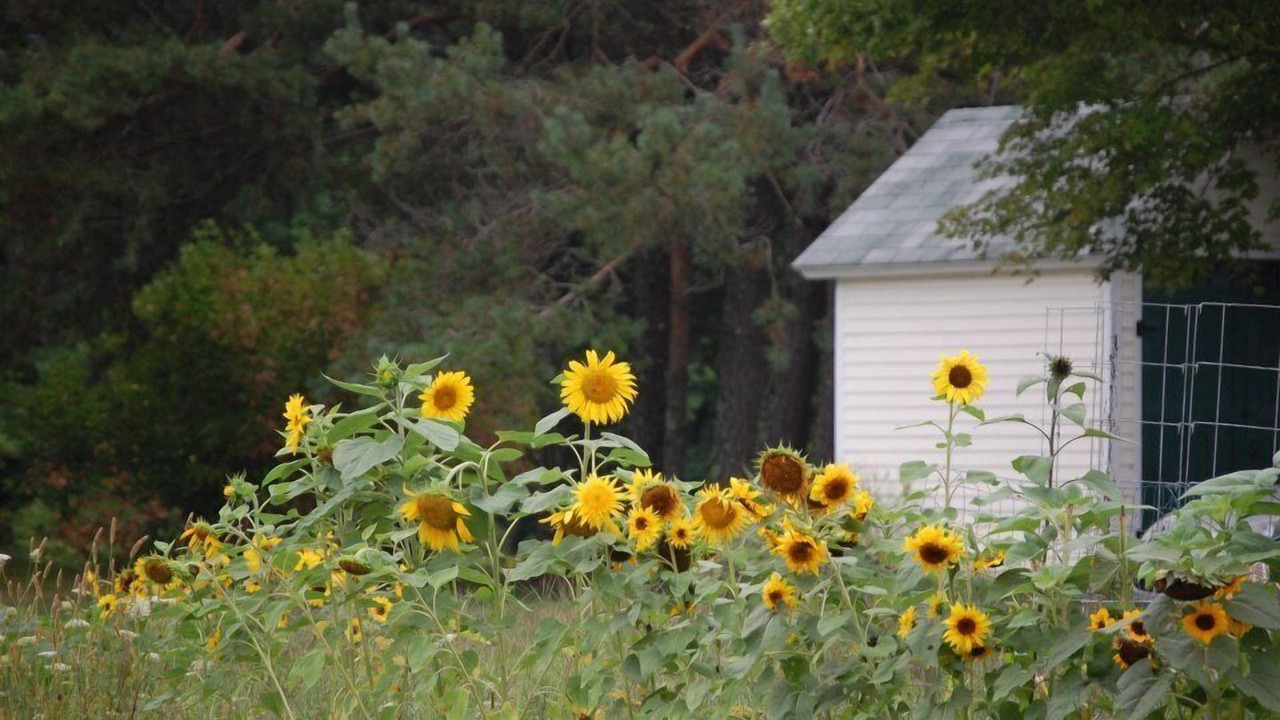 Photo of Buildings in Jefferson
