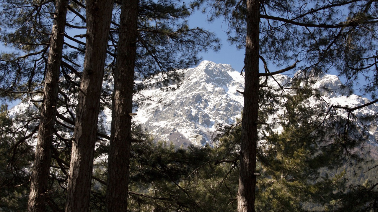 Photo of Others in Vizzavone