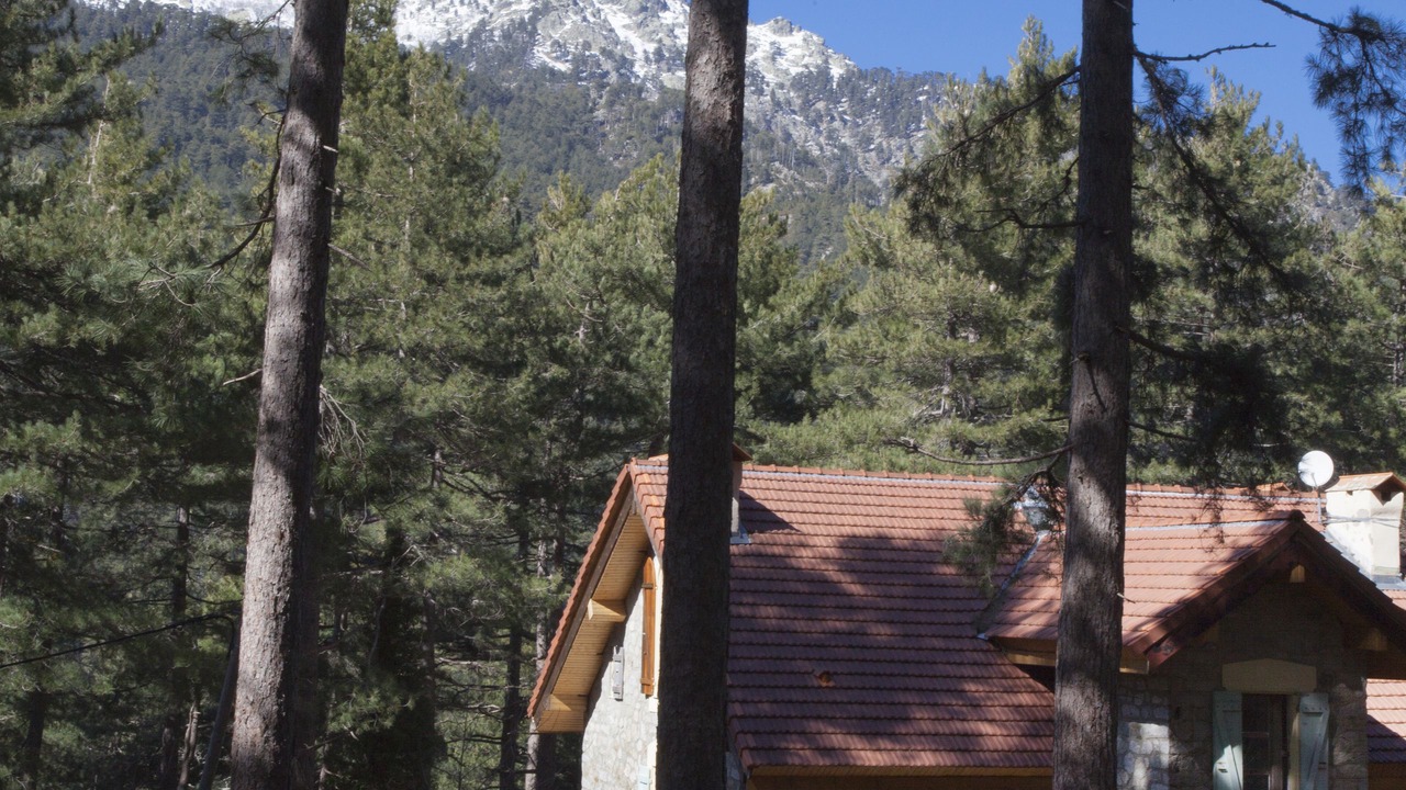 Photo of Outdoor in Vizzavone