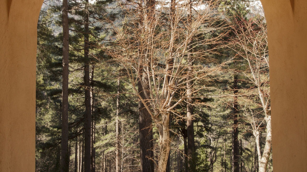 Photo of Others in Vizzavone