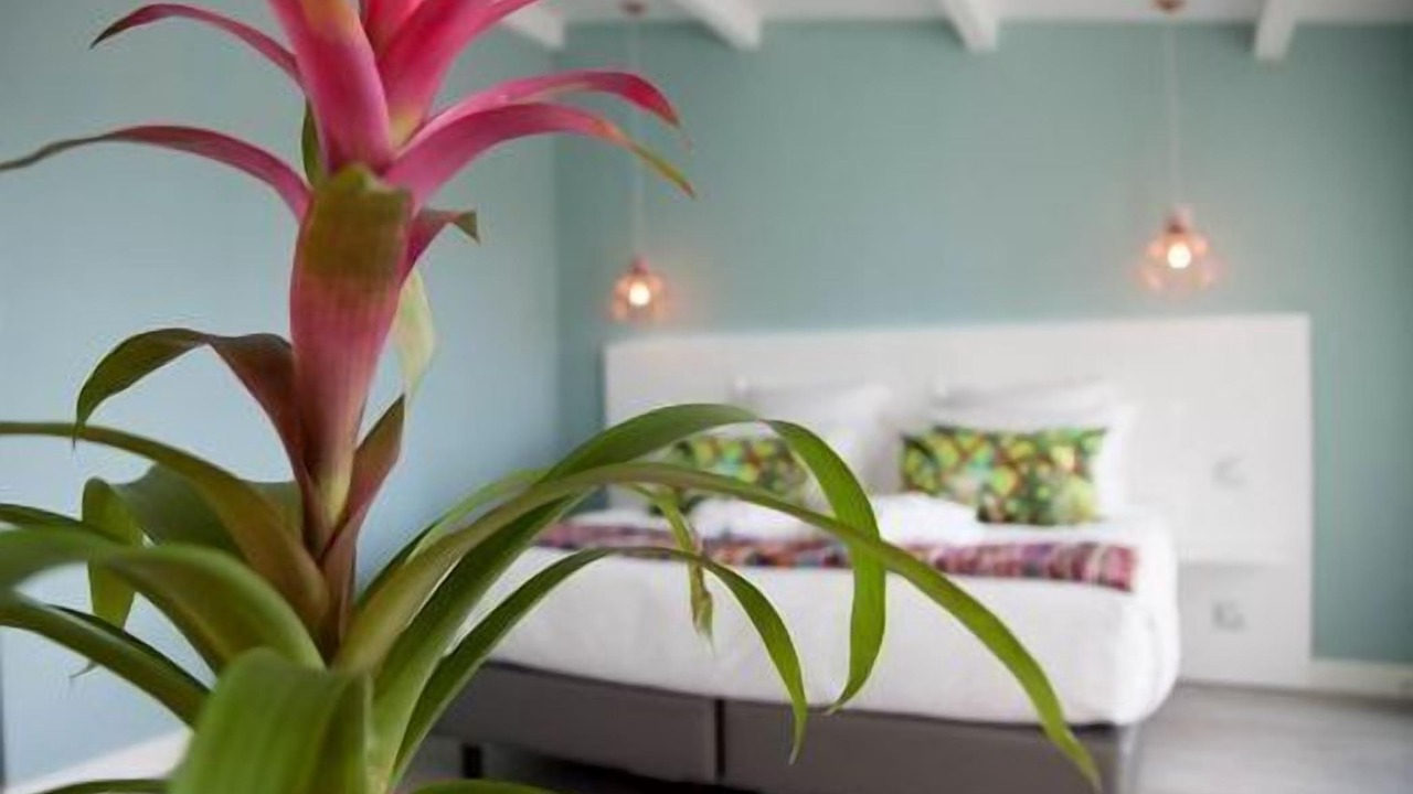 Photo of Bathroom in La Rochelle City Centre