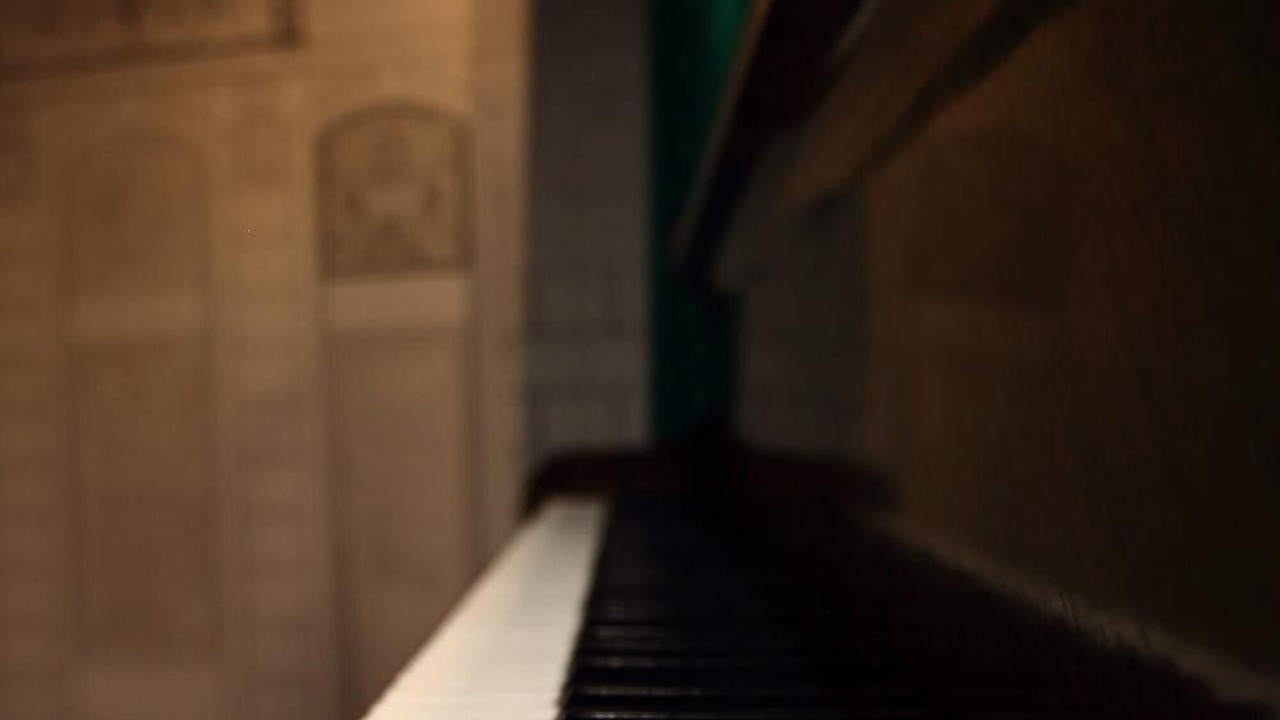 Photo of Others in La Rochelle City Centre