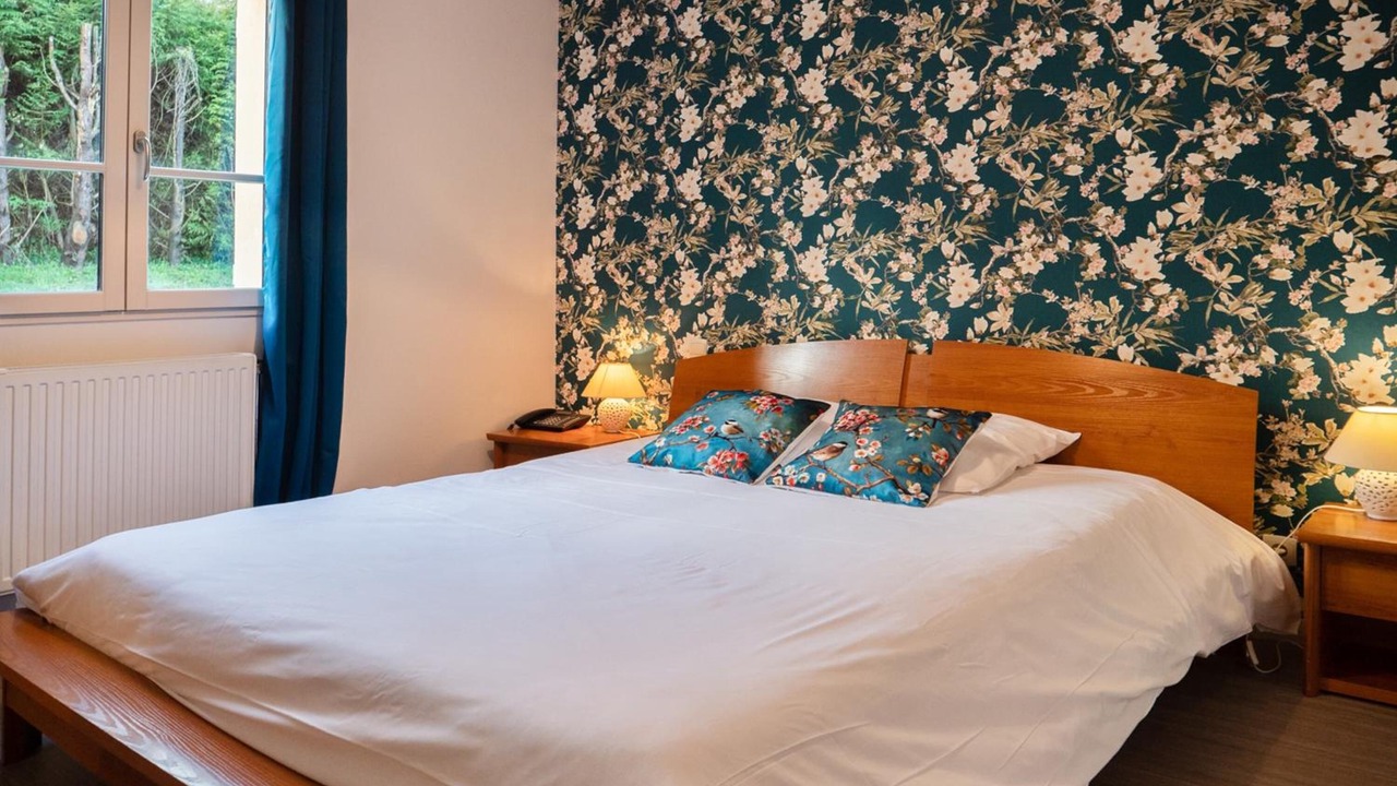 Photo of Bedroom in Vicheres