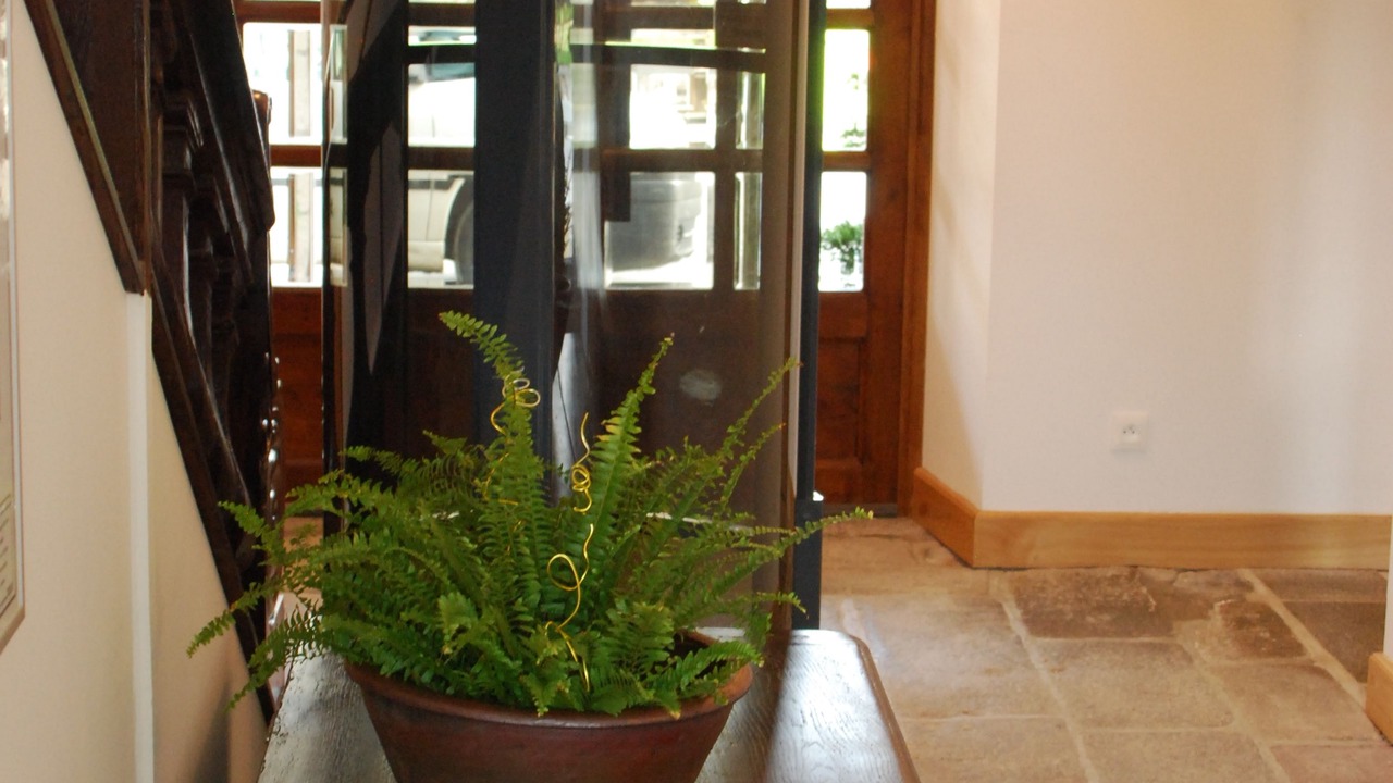 Photo of Others in Pontorson