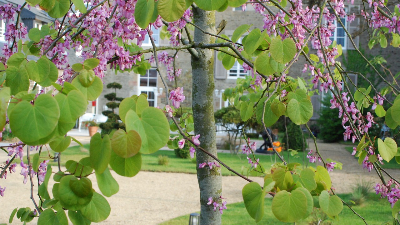 Photo of Outdoor in Pontorson