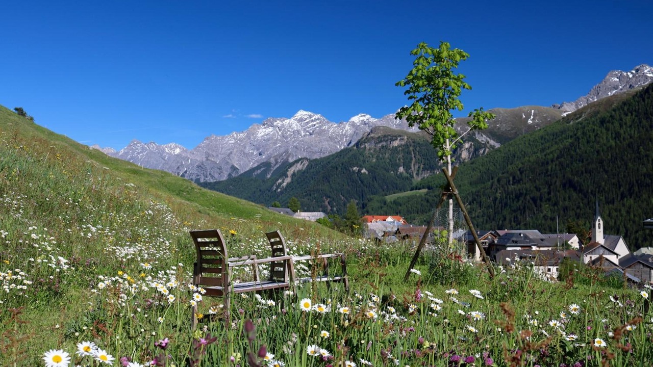 Photo of Outdoor in Guarda