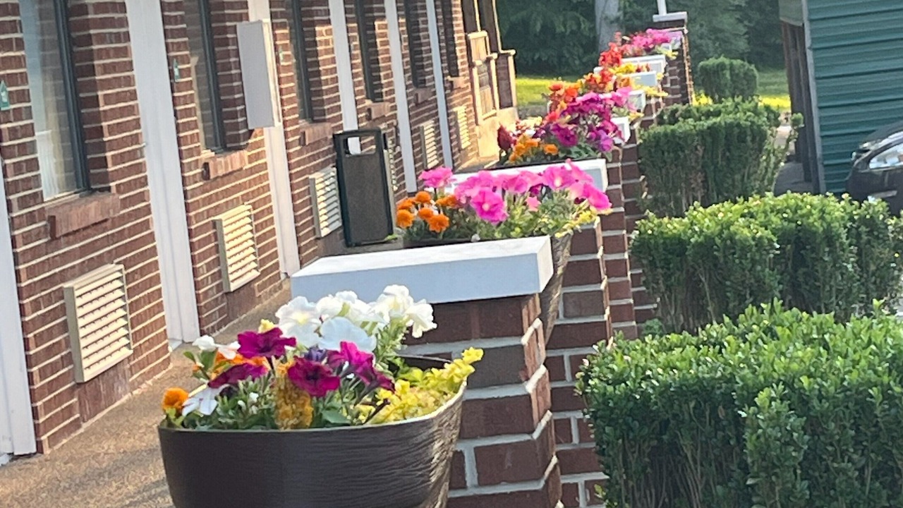 Photo of Outdoor in Parsons