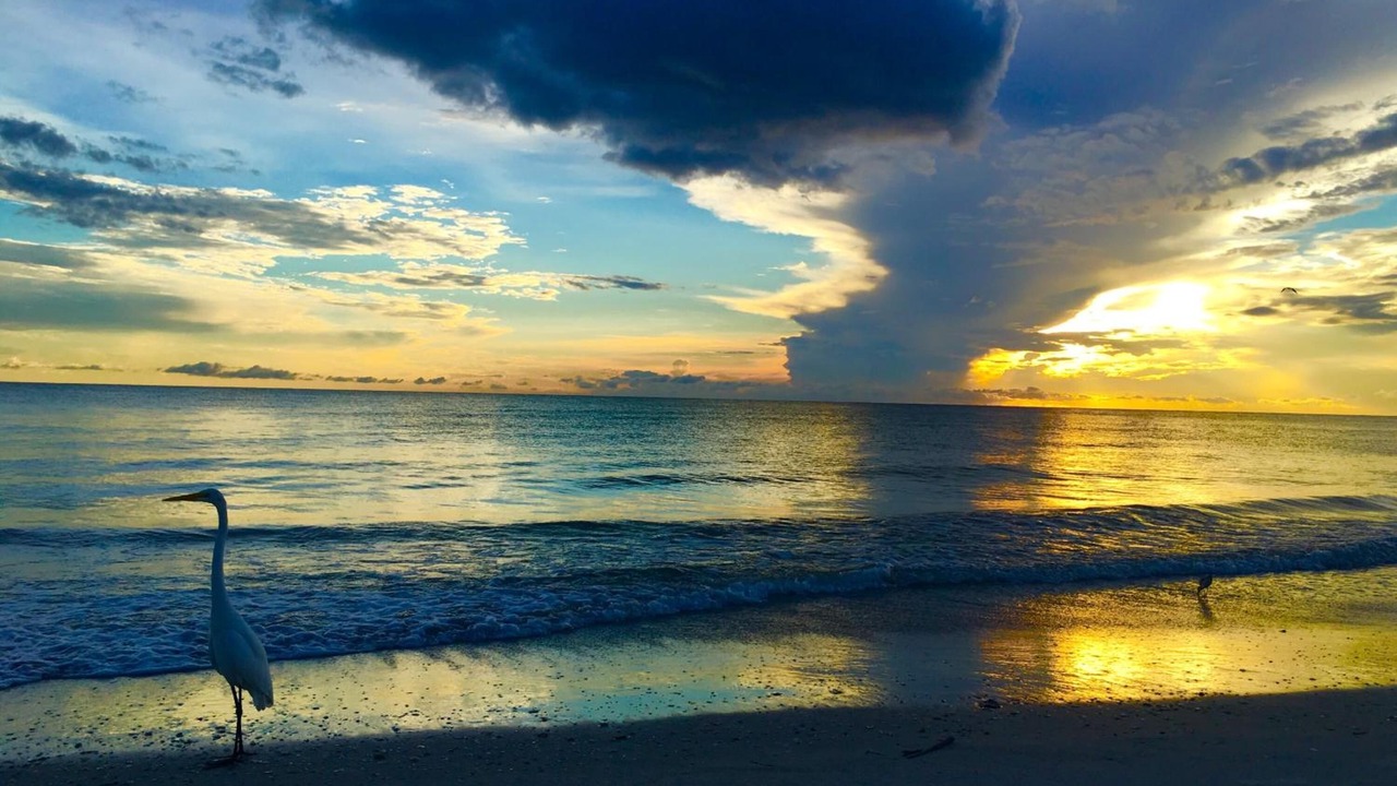 Photo of Others in Sunset Reef