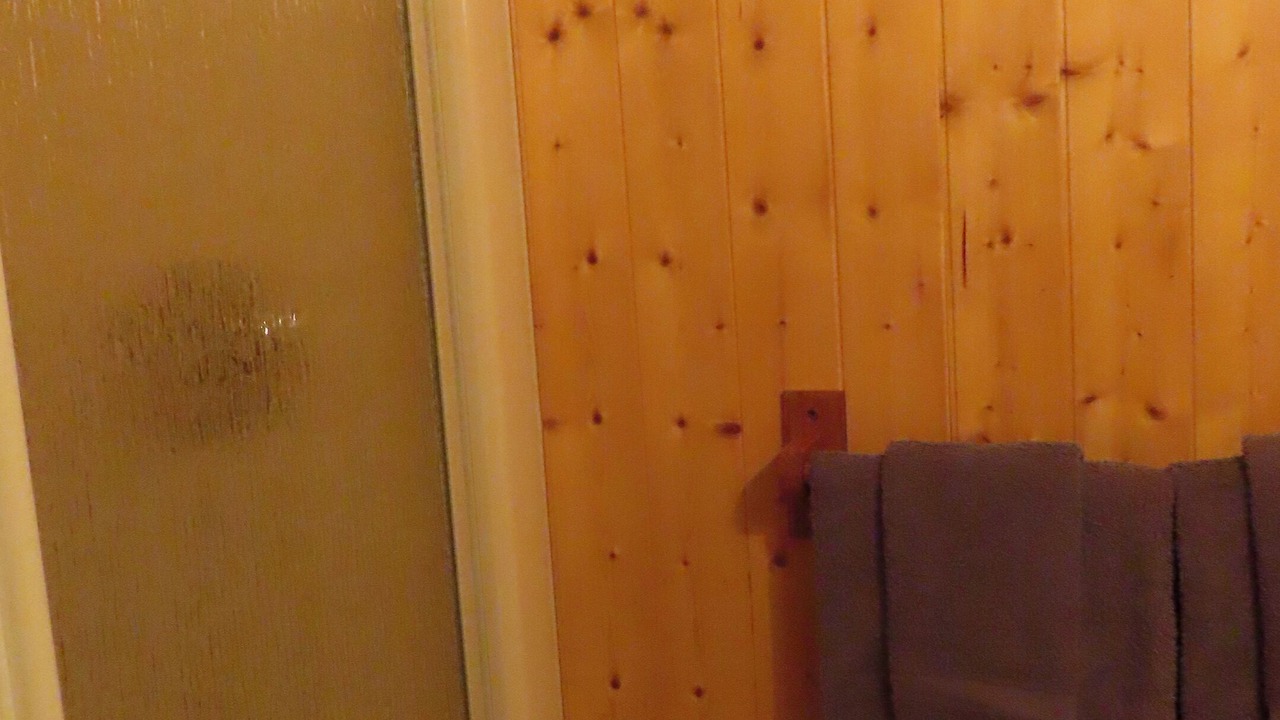 Photo of Bathroom in Saint-Antoine-de-l'Isle-aux-Grues