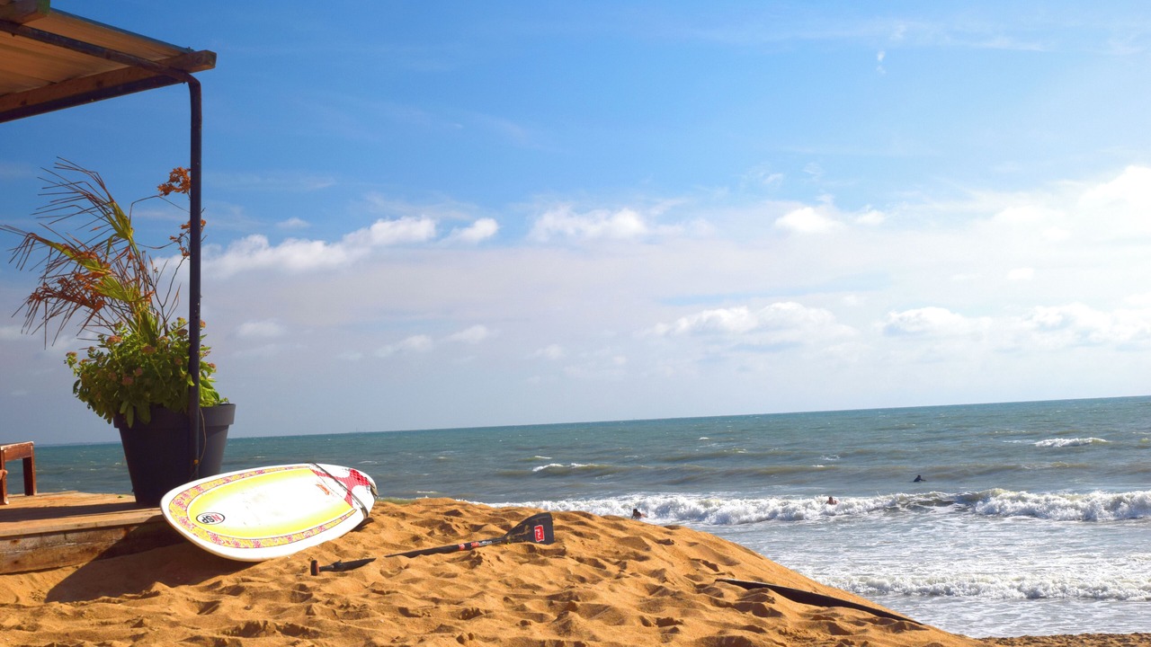 Photo of Others in Longeville-sur-Mer