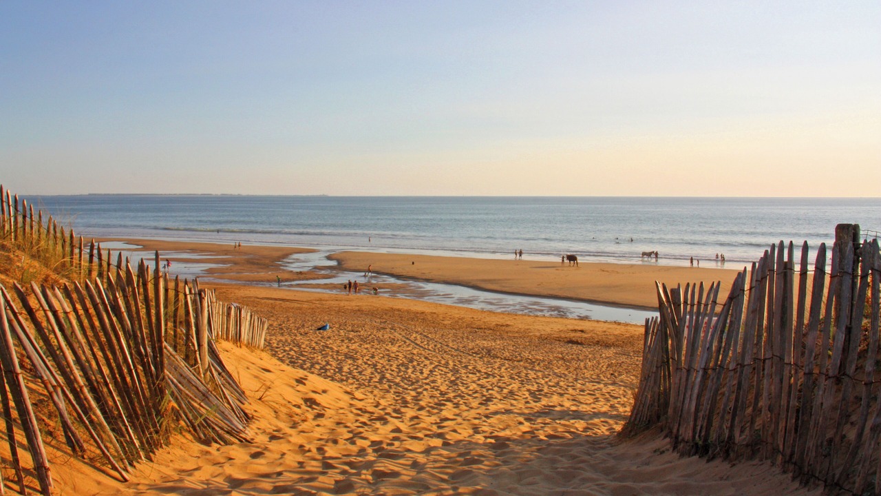 Photo of Others in Longeville-sur-Mer