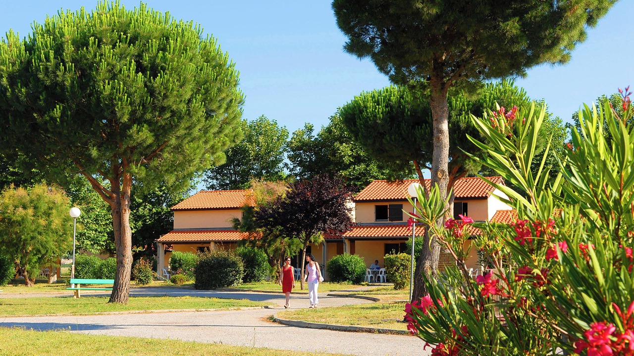 Photo of Outdoor in Saint-Cyprien