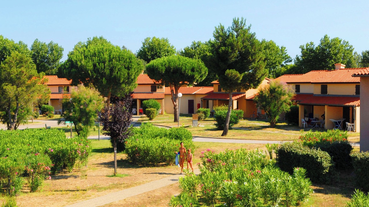 Photo of Outdoor in Saint-Cyprien
