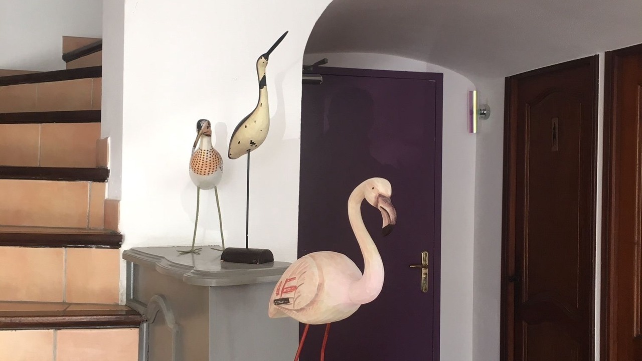 Photo of Others in Saintes-Maries-de-la-Mer