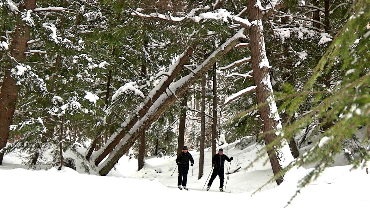Photo of Others in Munising