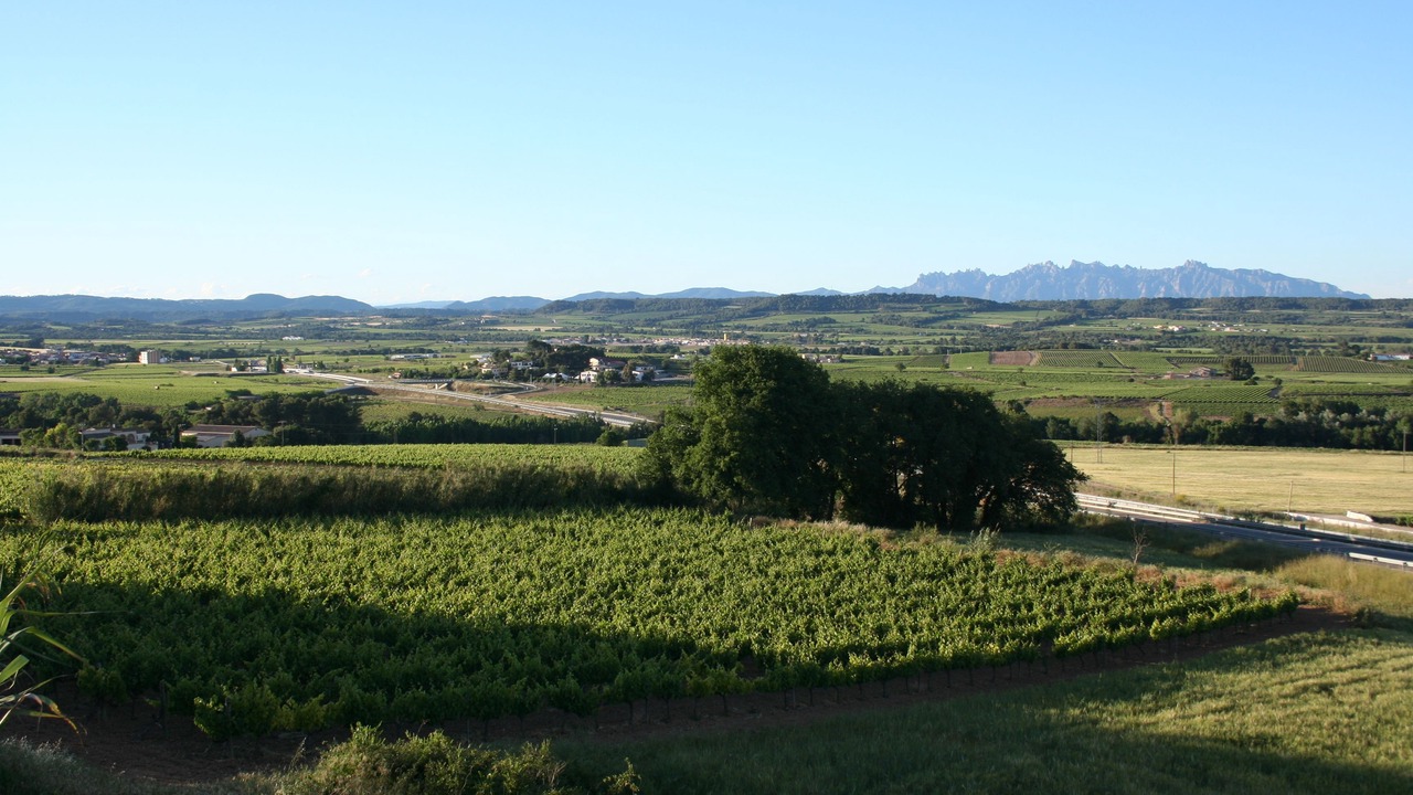 Photo of Outdoor in Pla del Panades