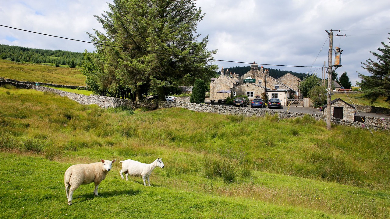 Photo of Outdoor in Stannersburn
