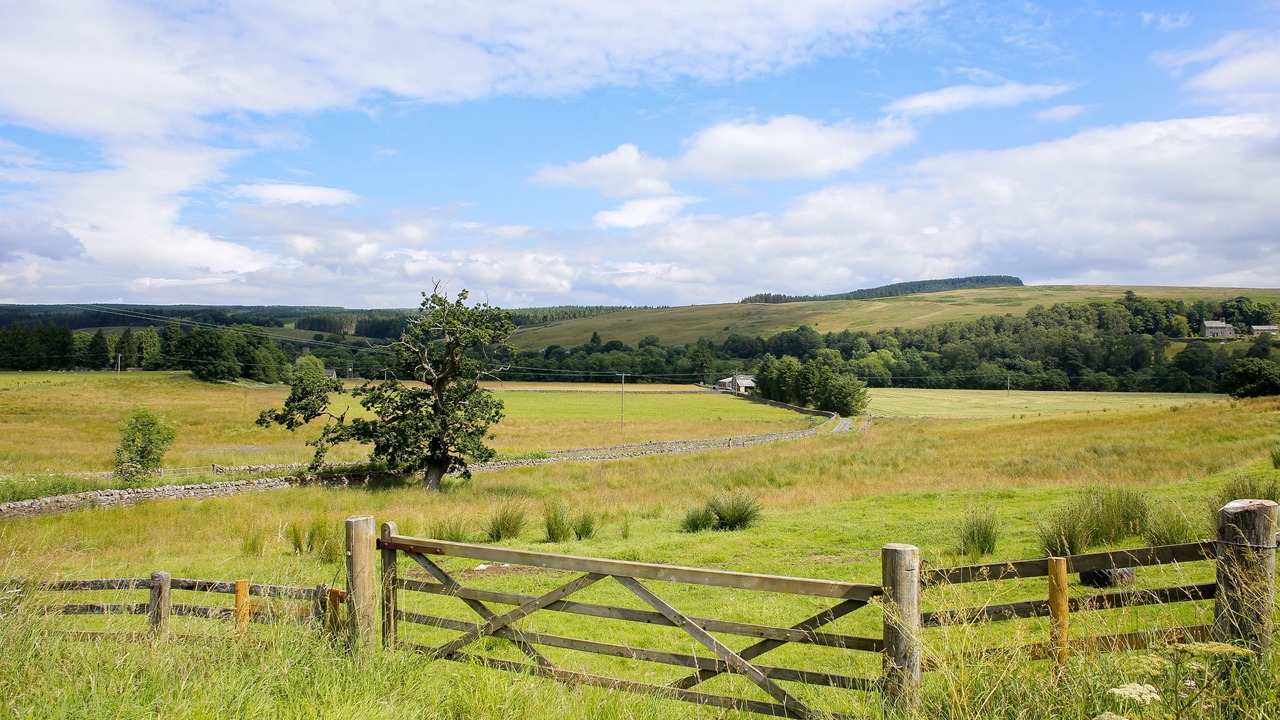 Photo of Outdoor in Stannersburn