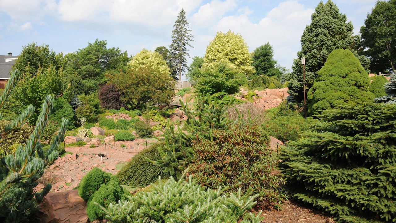 Photo of Outdoor in Truro