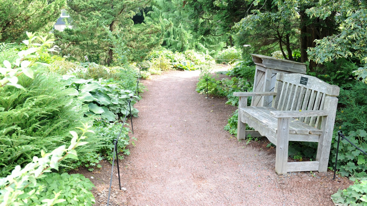 Photo of Outdoor in Truro