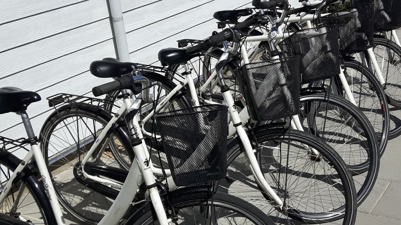 Photo of Outdoor in Stege