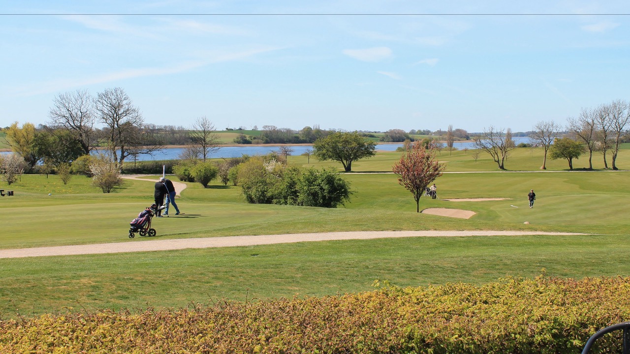 Photo of Others in Stege