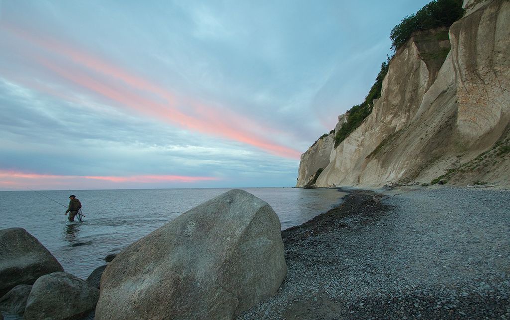 Photo of Others in Stege