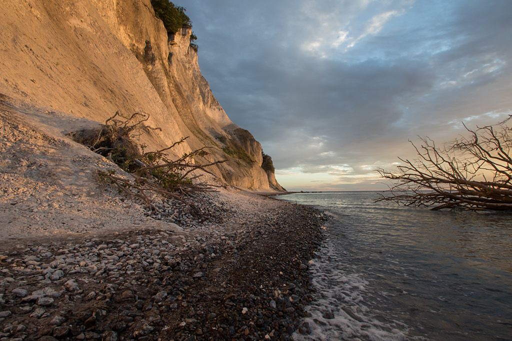 Photo of Others in Stege