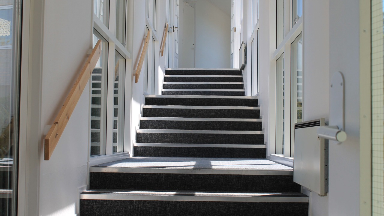 Photo of Others in Stege