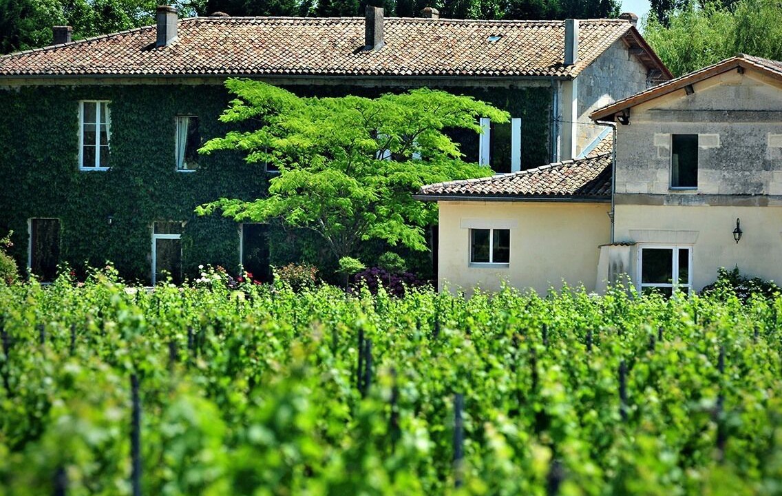 Photo of Outdoor in Fronsac