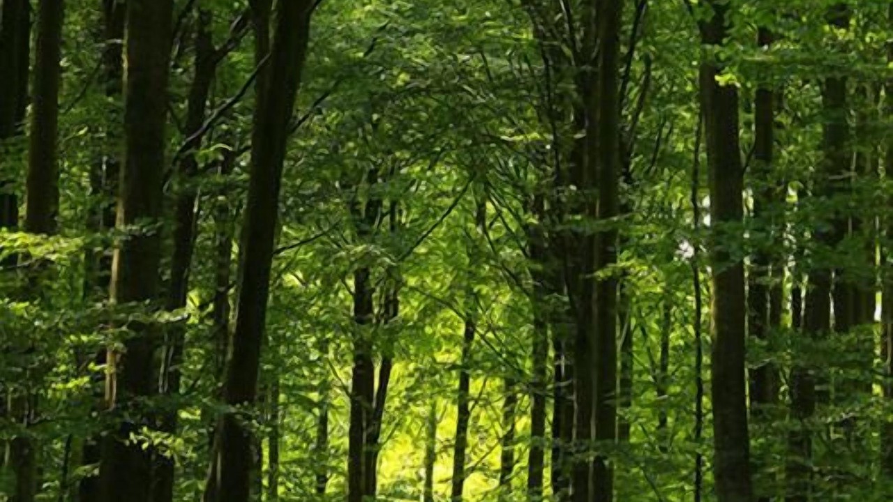 Photo of Outdoor in Stege