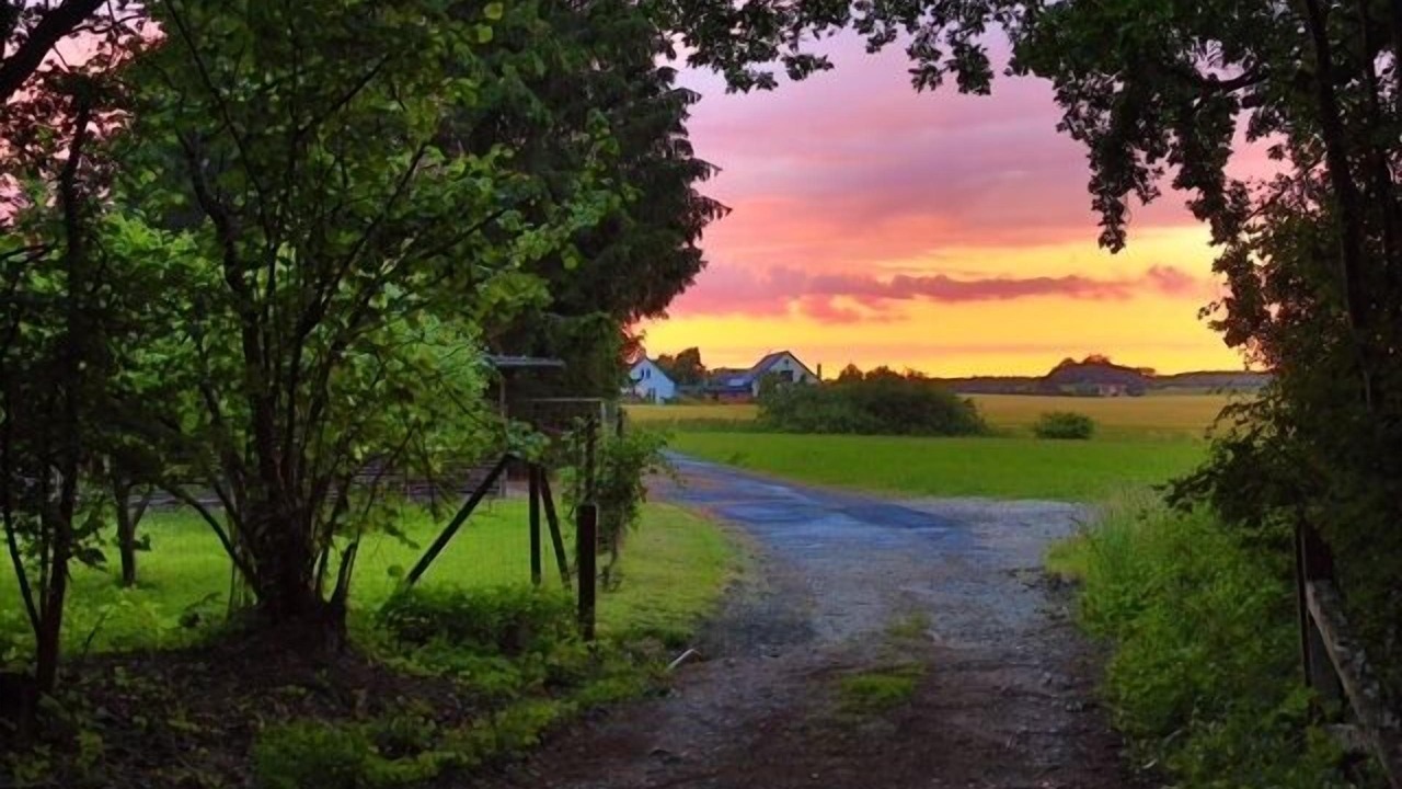 Photo of Outdoor in Stege
