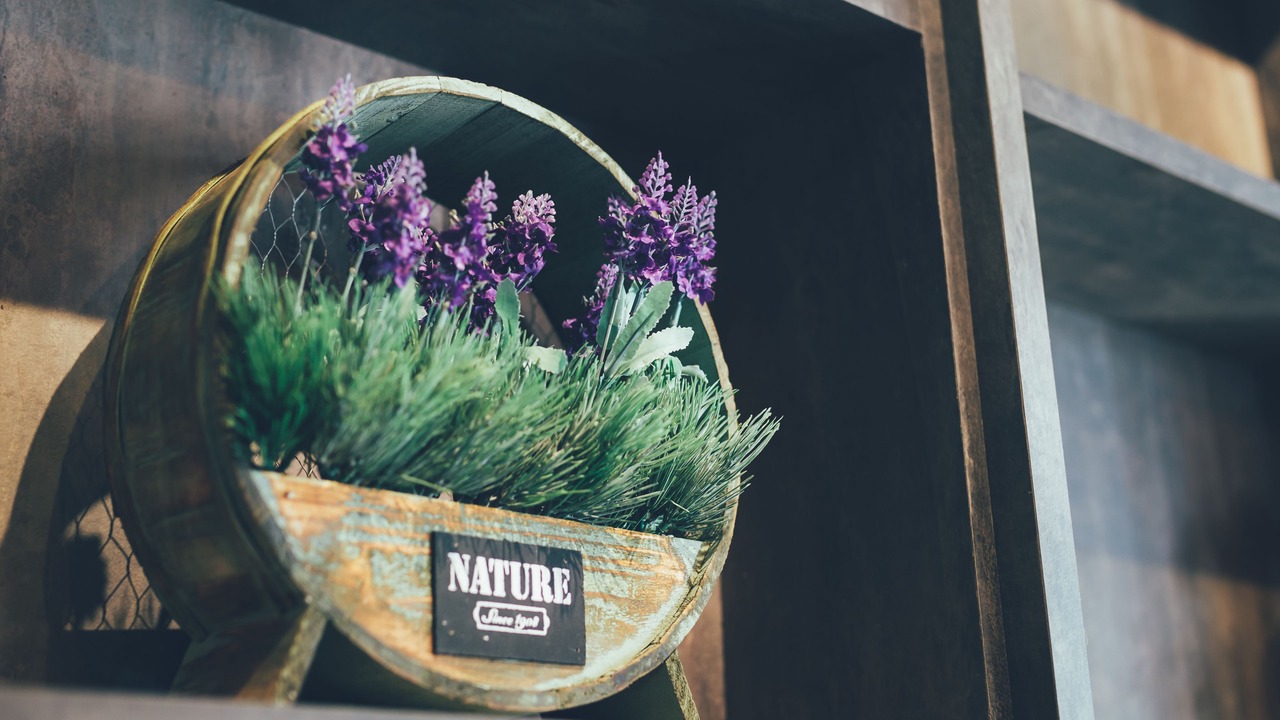 Photo of Others in Masai