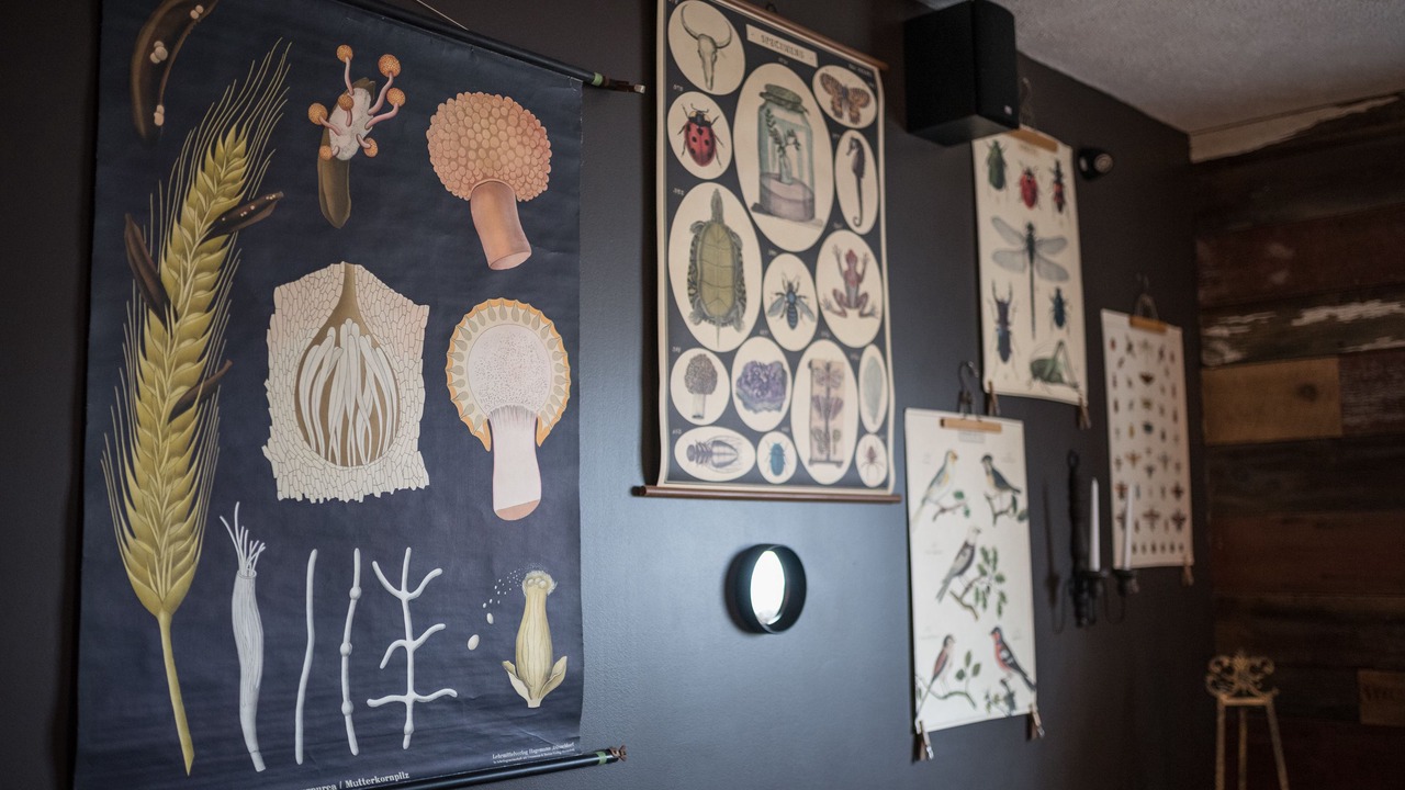 Photo of Others in Oneida