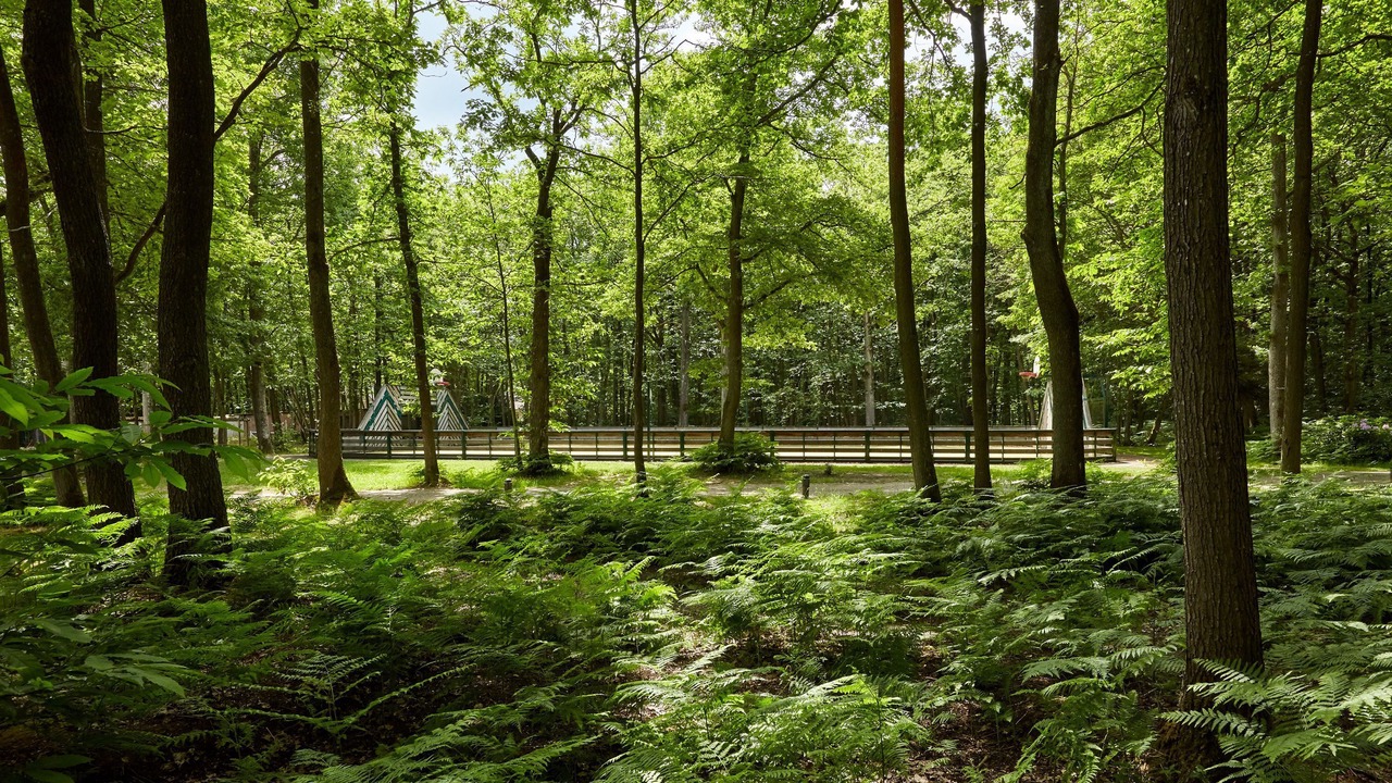 Photo of Others in Saint-Lambert