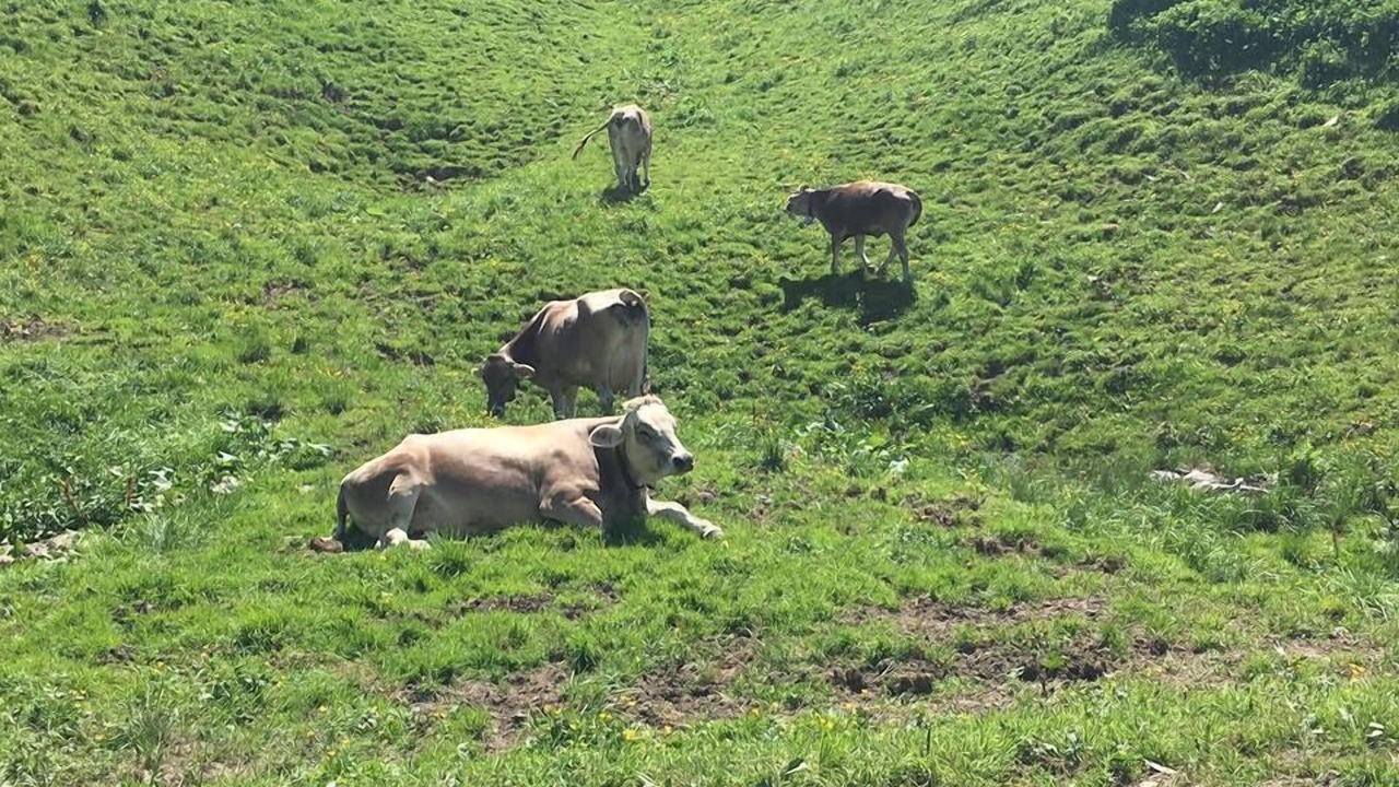 Photo of Others in Unteriberg