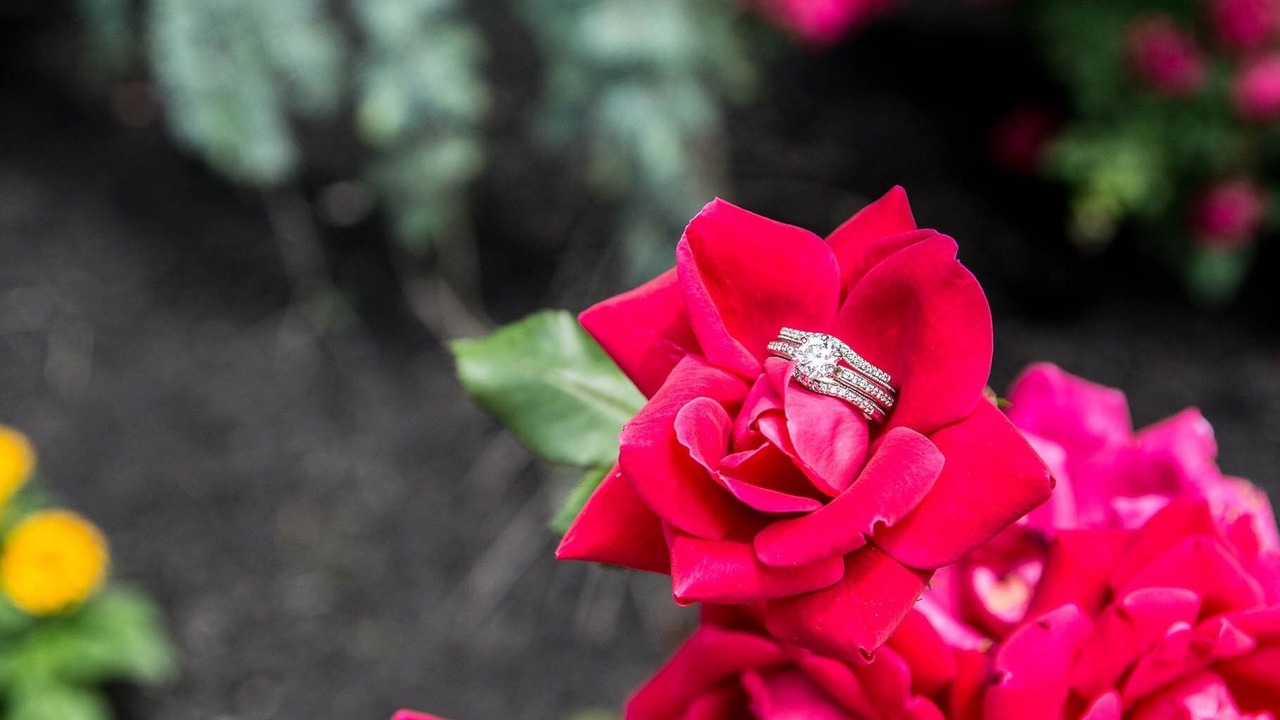 Photo of Others in Harrisburg - Hershey