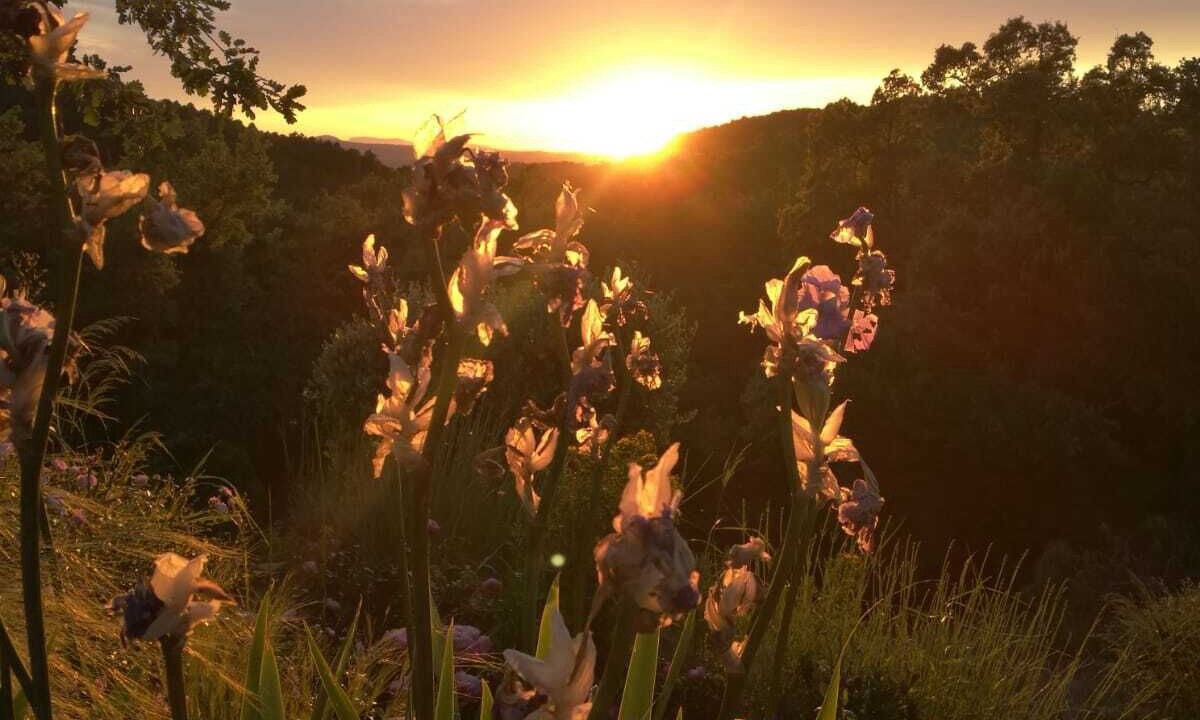 Photo of Outdoor in La Garde-Freinet