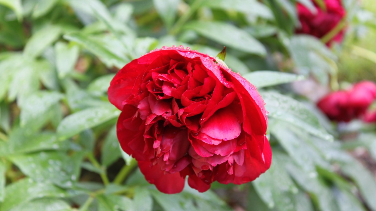 Photo of Outdoor in St Fillans