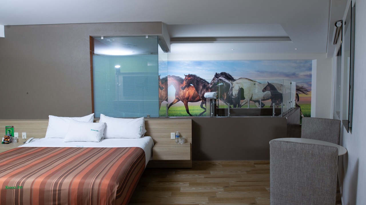 Photo of Bedroom in Texcoco