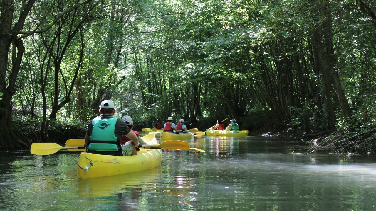 Photo of Others in Trefcon