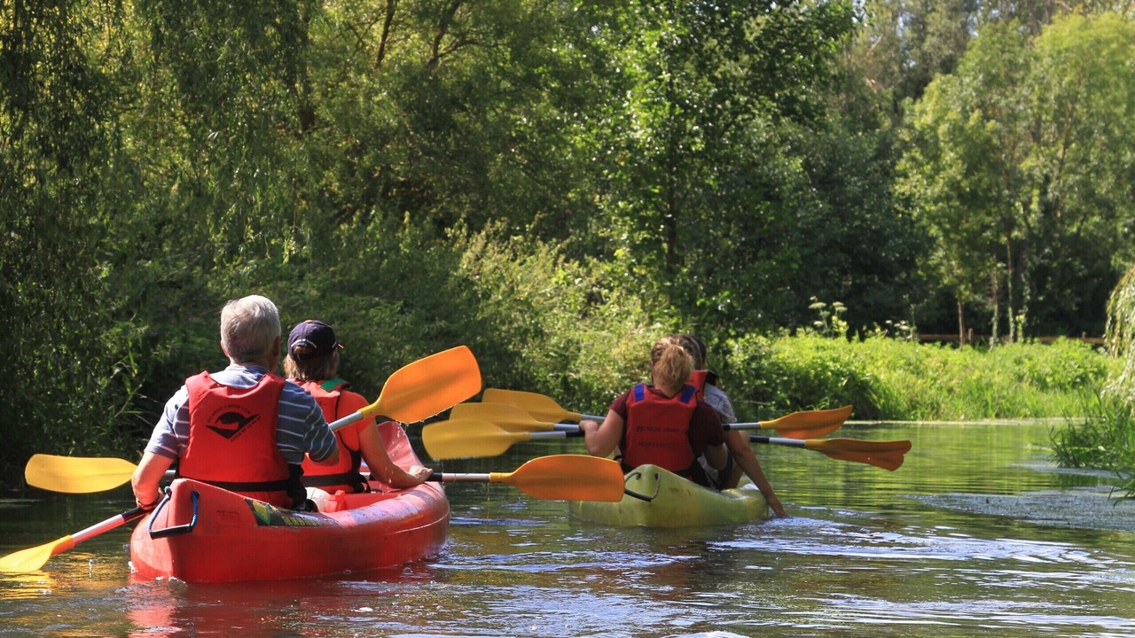 Photo of Others in Trefcon