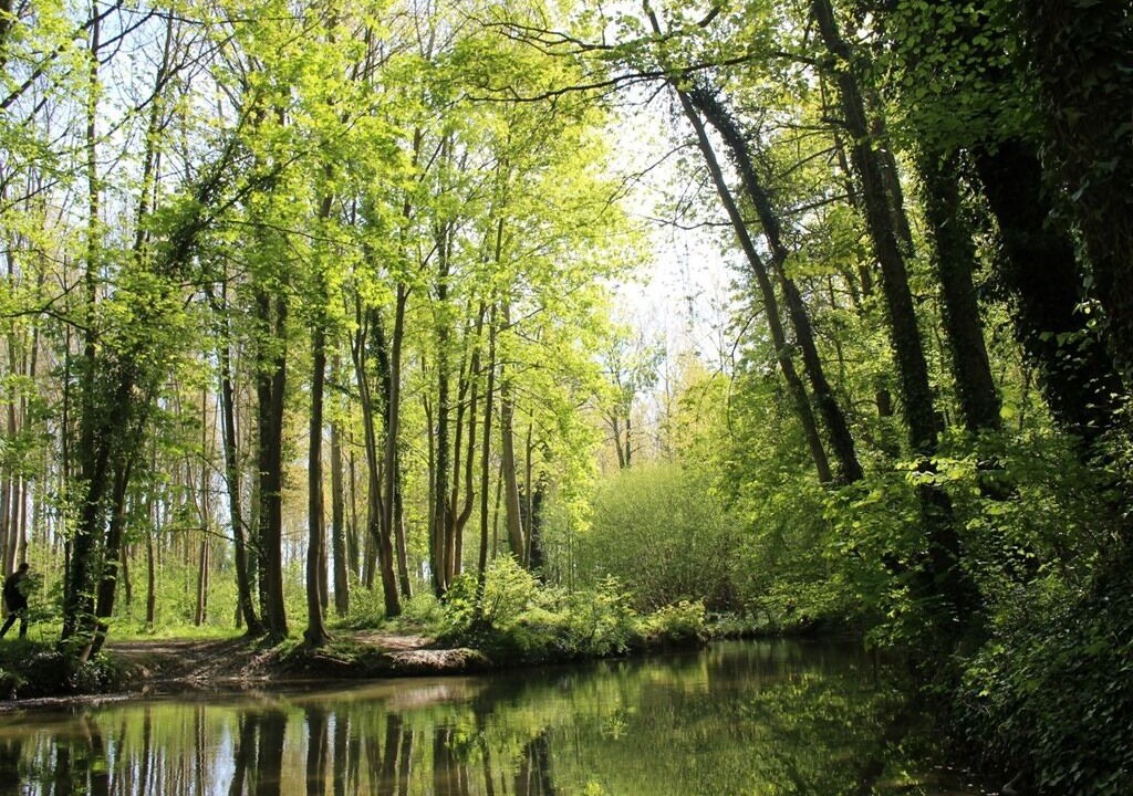 Photo of Others in Trefcon